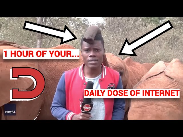 1 Hour of Daily Dose of Internet *ONLY ONE INTRO