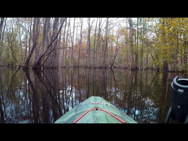 SC Kayak Camping Adventure on the Edisto River with the Colonel!