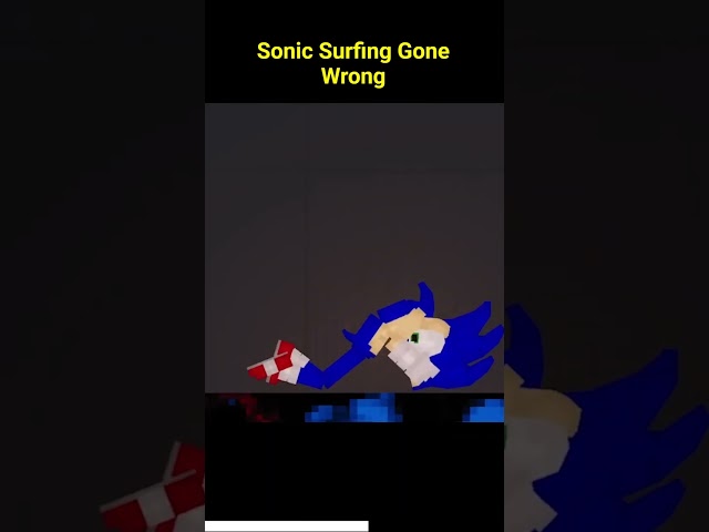 Can You Surf on Sonic's Back in People Playground?!