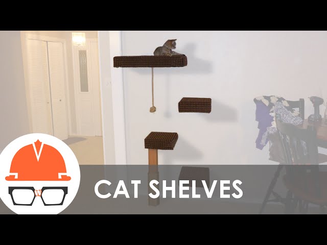 How to build a wall-mounted cat tree