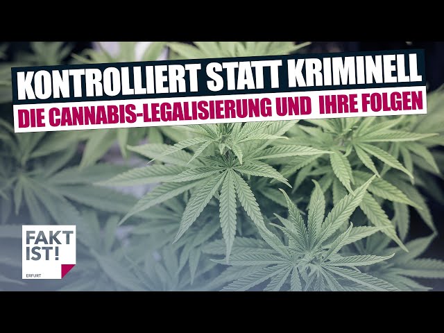 Kontrolliert statt kriminell – Die Cannabis-Legalisierung und ihre Folgen | Fakt ist! | MDR