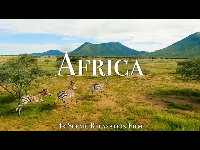 Africa 4K - Scenic Relaxation Film With Cinematic FPV