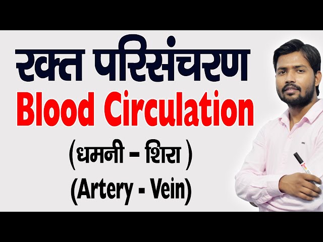 Blood Circulation | रुधिर परिसंचरण | Artery | धमनी | Veins | शिरा | in Hindi