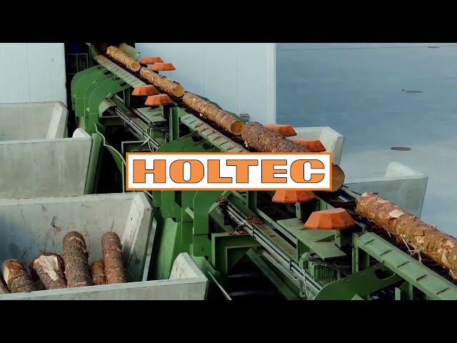 Ukrainian Sawmill - Rundholzplatz von HOLTEC