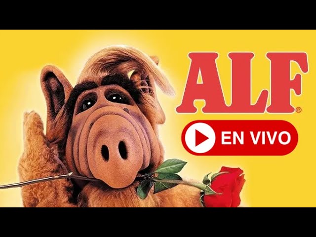 🌹 ALF Latino Español 🌹 Transmisión ahora❗️ALF in Spanish - Latin America 🌹