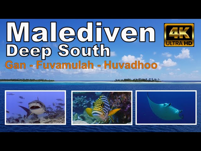 Malediven - Top Tauchen im tiefen Süden - 4K