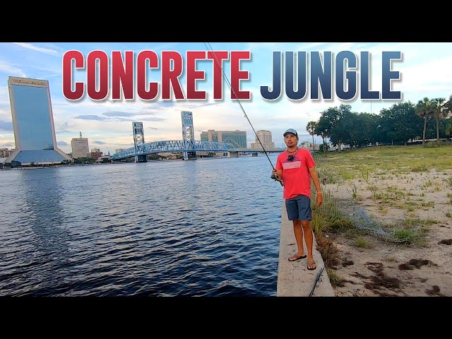 EPISODE 4 - Fishing All Over Jacksonville From Shore - CONCRETE JUNGLE