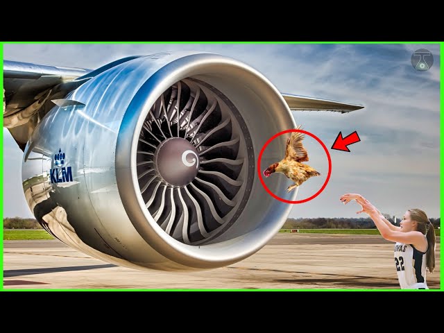 The Most Extreme Airplane Engine Experiments Exposed!"