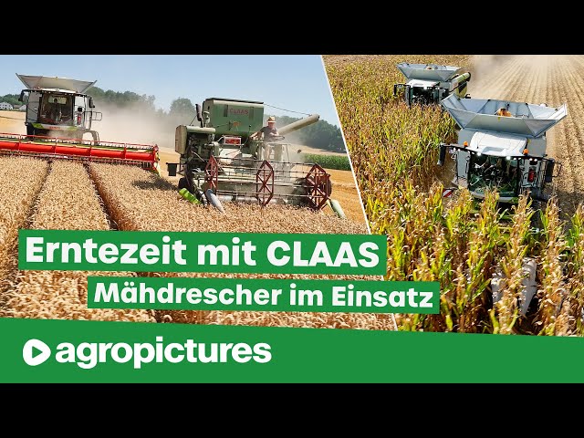 Erntezeit – Claas Mähdrescher im Einsatz von der Gerste bis zum Mais | Claas Trion und Lexion