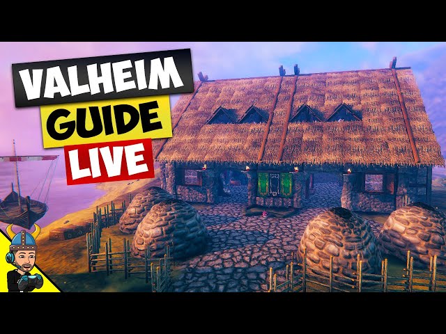 The Valheim Guide - LIVE! Ask About Buzz Lightyear...