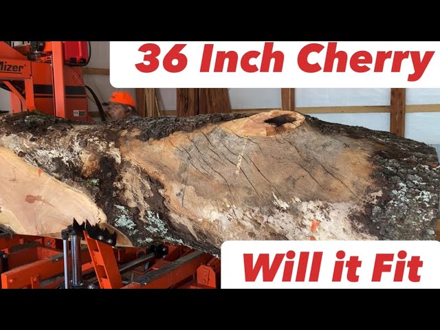 Sawing a 36 inch Black Cherry into Slabs