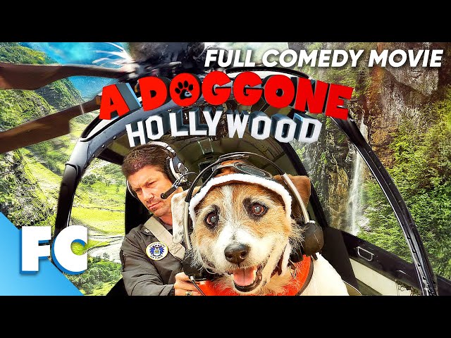A Doggone Hollywood | Full Comedy Adventure Dog Movie | Free HD Animal Film | FC