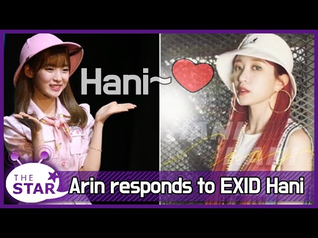 Arin responds to EXID Hani, "I am touched by the video mail...rice cake soup"