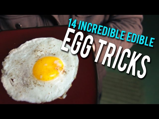 14 Incredible Edible EGG Tricks!