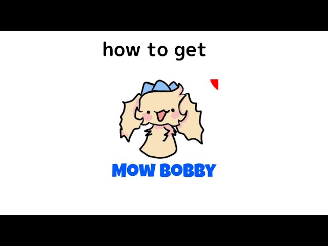 HOW TO GET MOW BOBBY