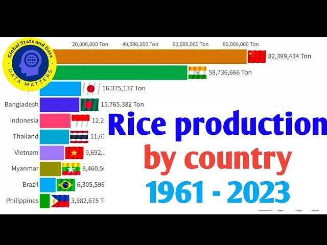 Top Rice Producing Countries 1961 - 2023