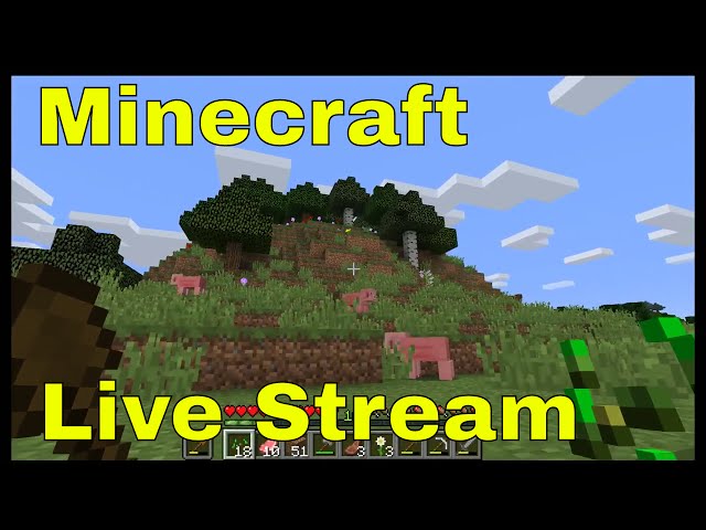 Mungo's Minecraft 1.12 Survival Live Stream Play Through Part 4