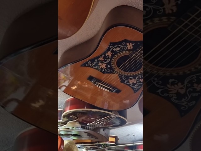 Am I dreaming about guitars on the ceiling?!? #guitarshop