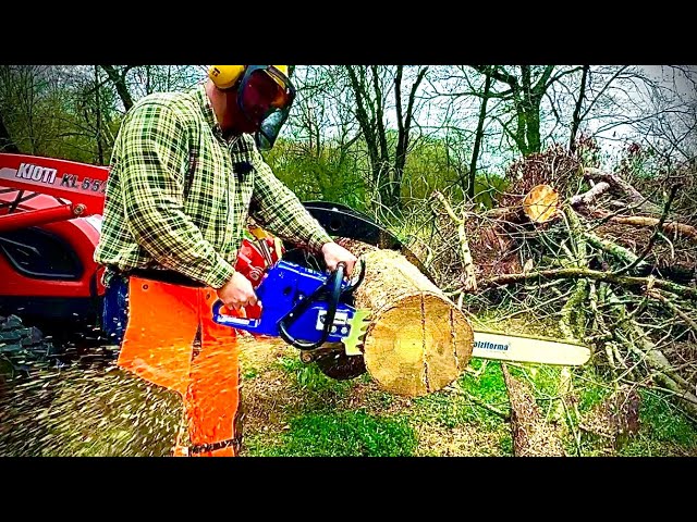 Buying a MASSIVE Chainsaw on Amazon-  Holzfforma G660