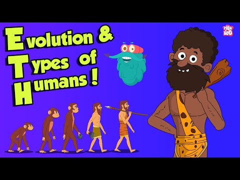 Evolution | The Dr Binocs Show | Peekaboo Kidz