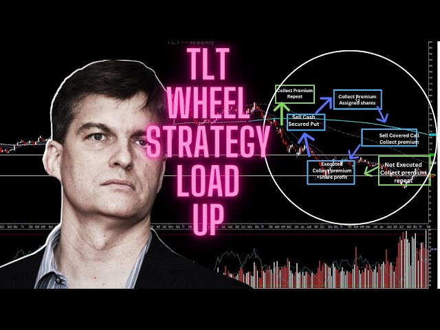 Michael Burry TLT option strategy: ITS TIME BABY!!!!