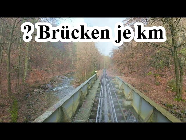 größte Brückendichte?  -  mit der Weißeritztalbahn auf schmaler Spur in Sachsen #6
