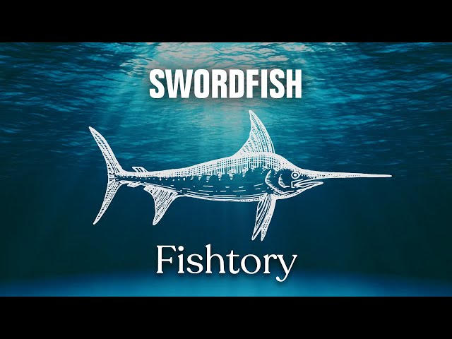 Catching Swordfish: Everything You Need To Know | Fishtory