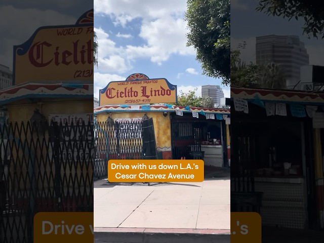 A Journey Down L.A.'s Cesar Chavez Avenue, Chinatown to Boyle Heights | SoCal Wanderer | PBS SoCal