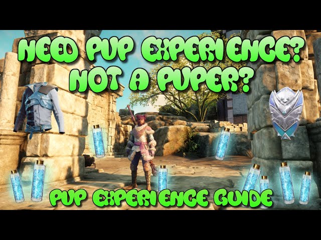 New World PVP Track Experience Guide For NON PVPERS