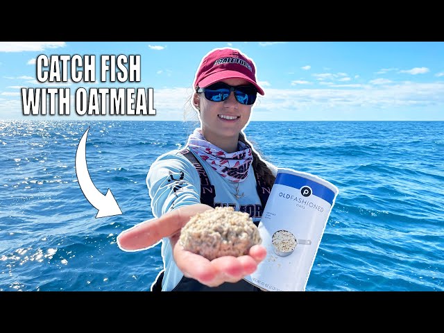 How to Catch Yellowtail Snapper - Fishing with Oatmeal