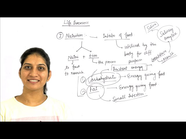 Life Processes Full Chapter | Class 10  Science 2024 - 2025 | What is Nutrition | Mode of Nutrition