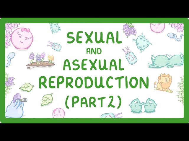 GCSE Biology - Pros and Cons of Sexual and Asexual Reproduction (Part 2) #72