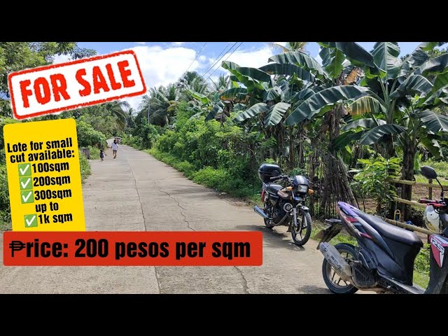 #85 small lot for sale available cut 👉 100sqm up to 1k sqm / Calauag Quezon province