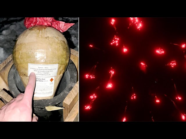 Shell of the week #6 | #fireworks #shorts