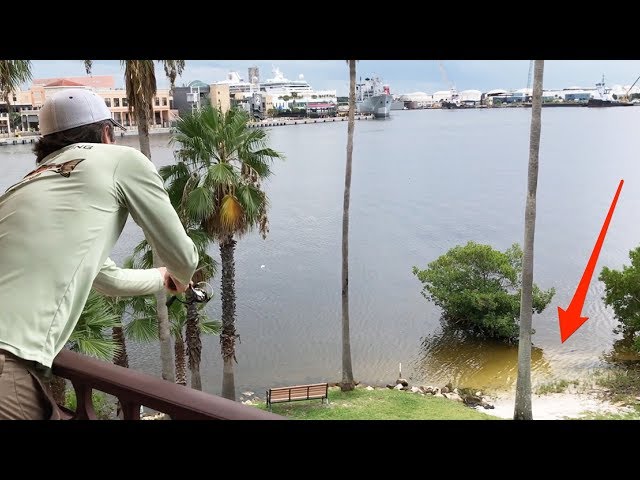 Man Catches Fish (Snook) From A 3rd Floor Balcony!