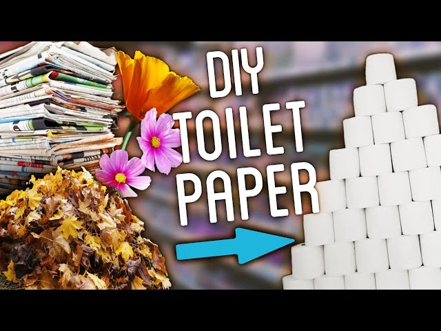 DIY Toilet Paper Using Newspaper, Leaves, Flowers and MORE!