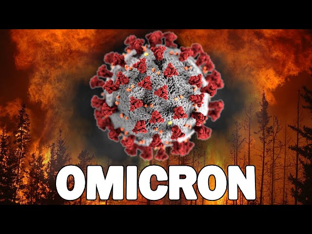 Is the Omicron Variant Really that Bad?