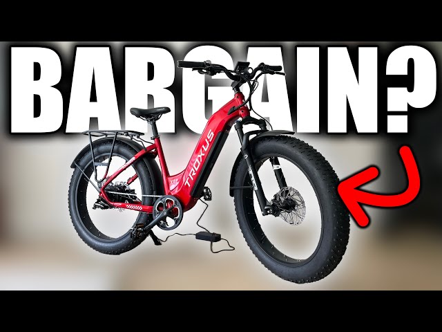 Overpriced EBikes DO NOT Want You To See This! Troxus Explorer Review