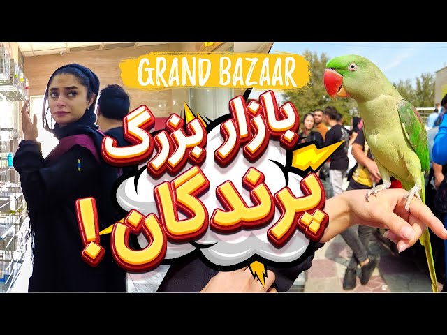 Iran Vlog | Virtual Walking Tour in Tehran 2022 | Birds Bazaar