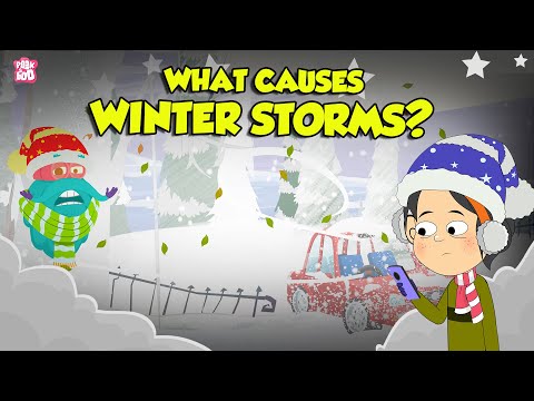 Natural Disasters & How to Survive Natural Calamities