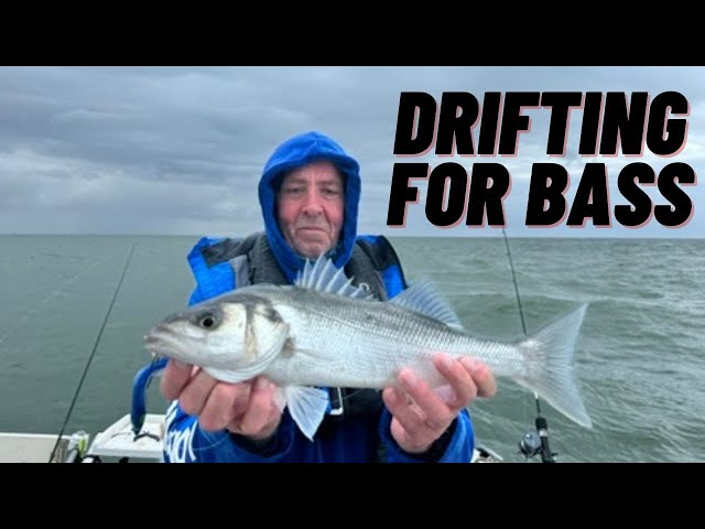 DRIFTING FOR BASS [ sea fishing uk]