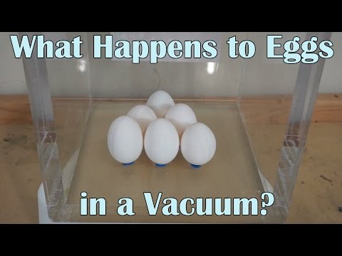 What Happens When You Put 6 Eggs In A Huge Vacuum Chamber?