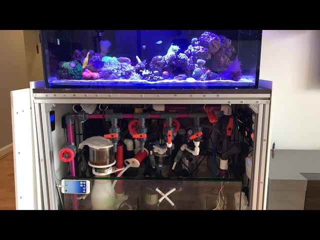 How to Reef Aquarium Maintenance The Right Way - LIVE Part 1