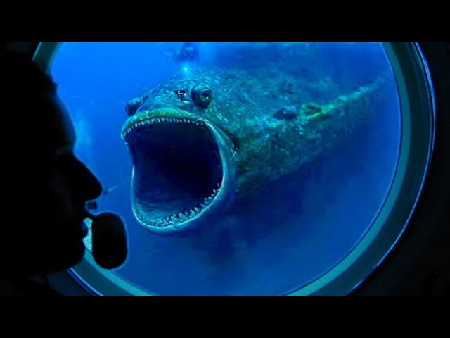 What They Captured in Mariana Trench Surprised the Whole World