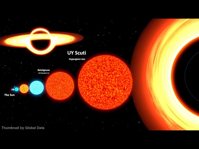 Universe Size in Perspective 3D 2024 | Atom to Universe Size Comparison 3d