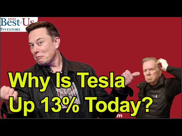Tesla Buy Into Tech Leader -  At What Price?