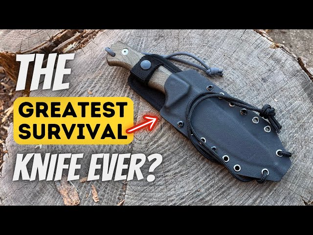 Why This Blade Is So Much Better Than Most!