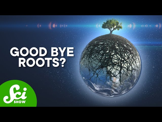 Earth Is Losing its Roots