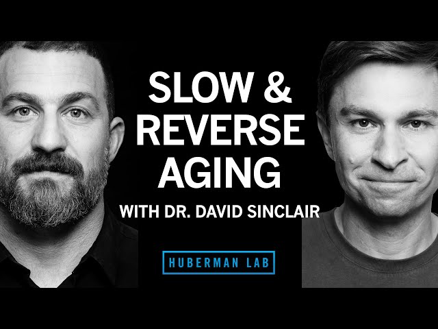 Dr. David Sinclair: The Biology of Slowing & Reversing Aging