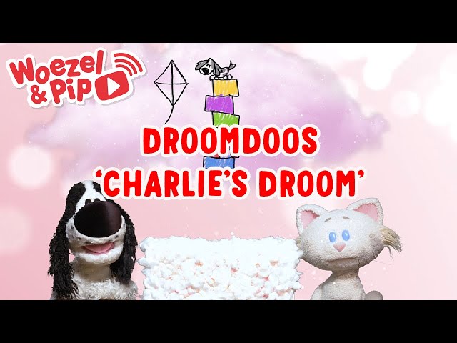 Woezel & Pip TV - Buurpoes heeft Charlie's droom gevangen in de droomdoos✨💝